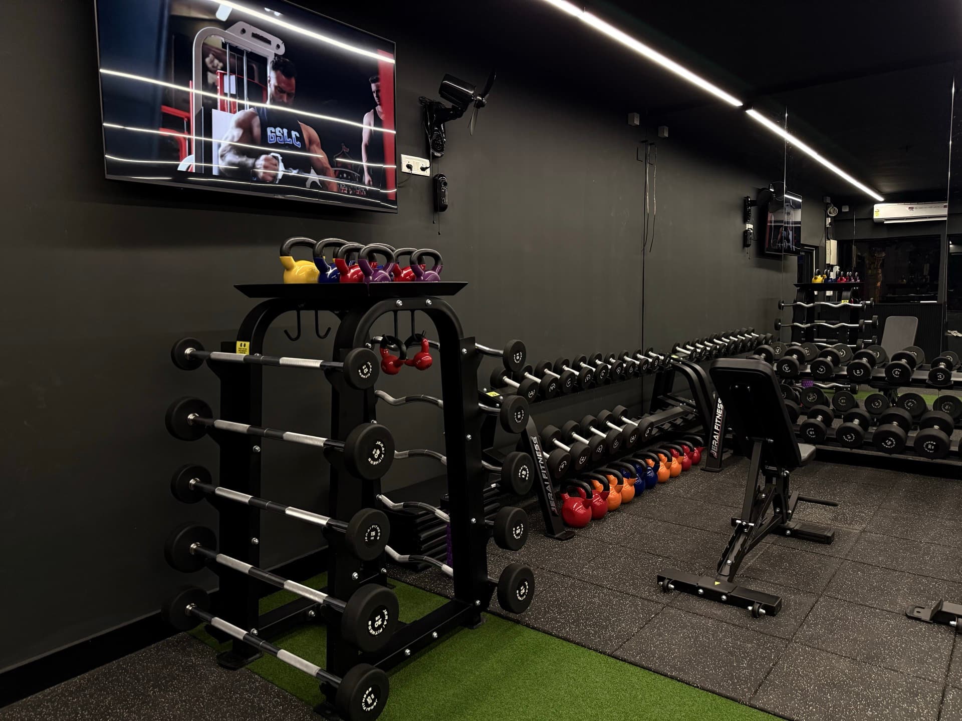 Free weights — barbells, dumbbells and kettlebells